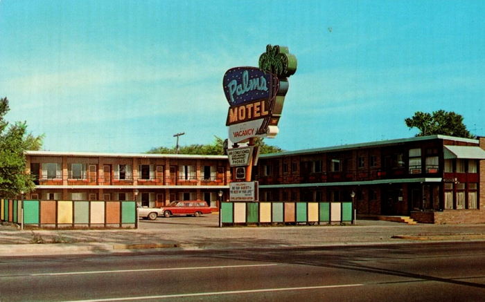 Palms Motel - Vintage Postcard